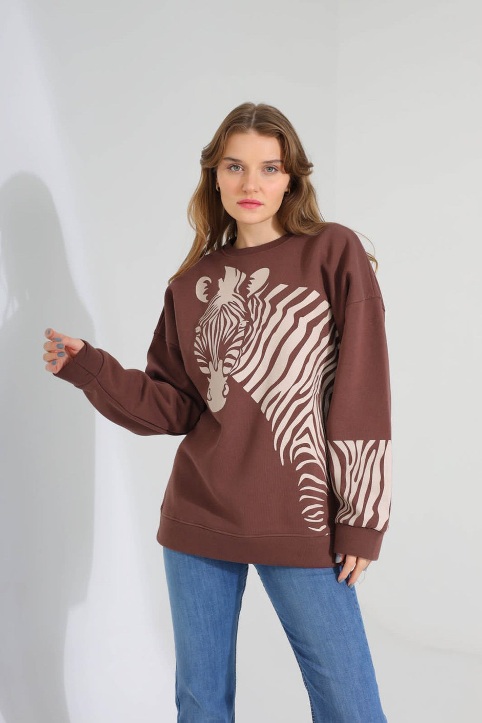SWEATSHIRT 20021 - HANGER