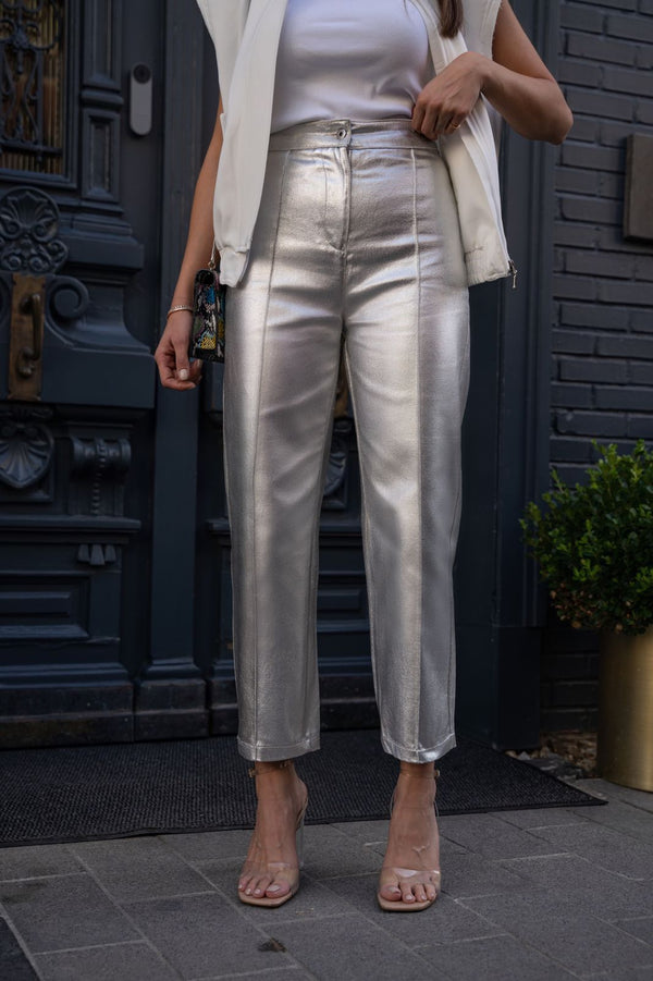 Glossy Pant 230123 - HANGER