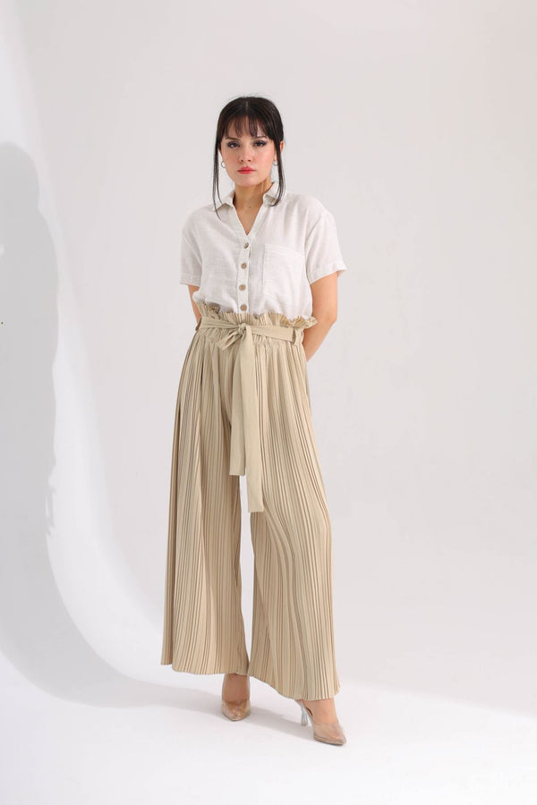 Pleated pant 19161 - HANGER