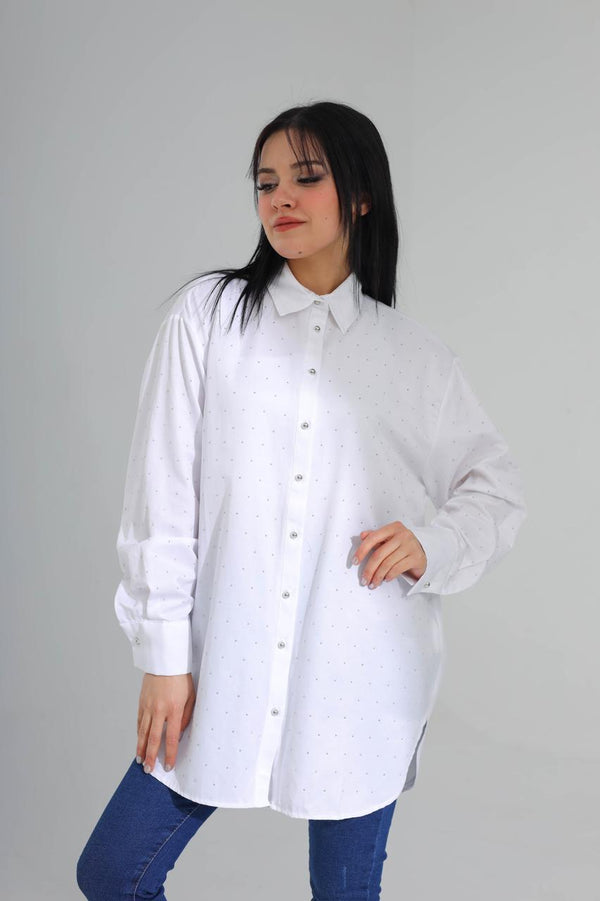 SHIRT 14301 - HANGER